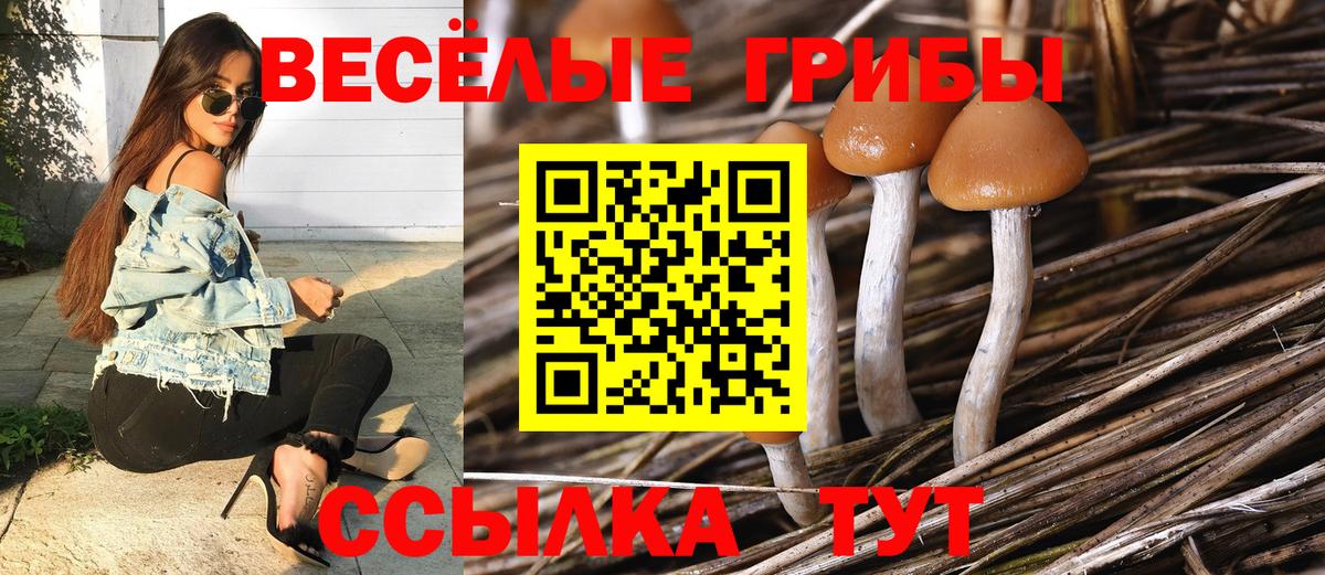 Урай  Псилоцибиновые грибы мицелий  Вход с VPN 
