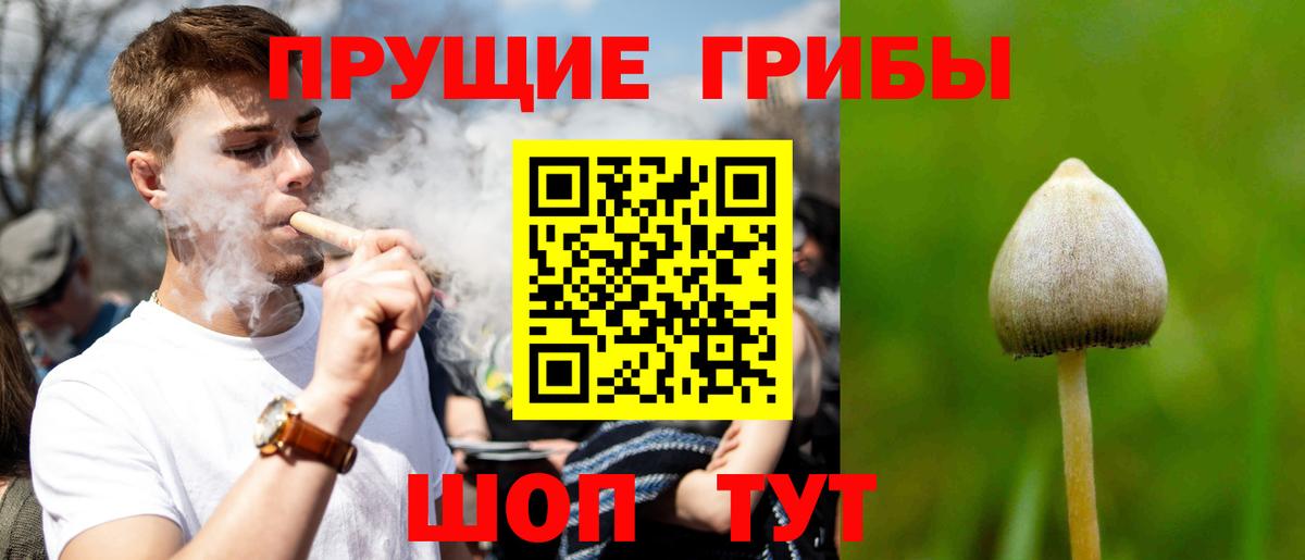 Галлюциногенные грибы Magic Shrooms Урай